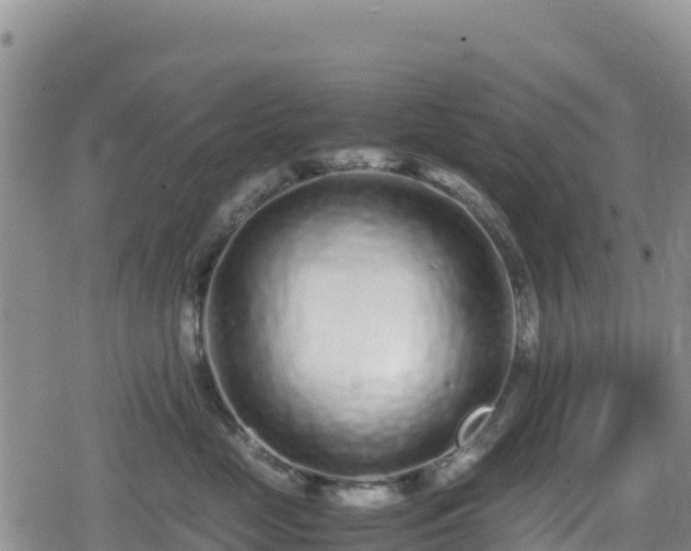 X0000080710669200612221144