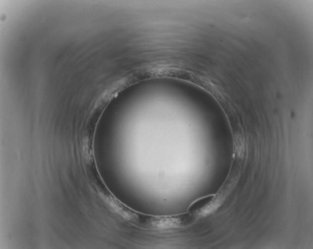 X0000080710670200612221144