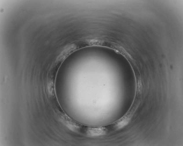 X0000080710671200612221144