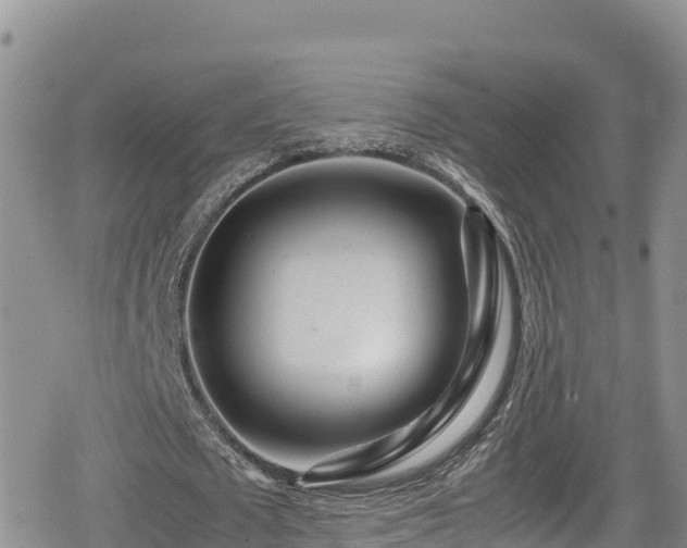 X0000080710673200612221143