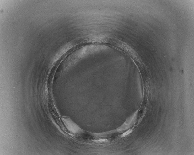 X0000080710674200612221143