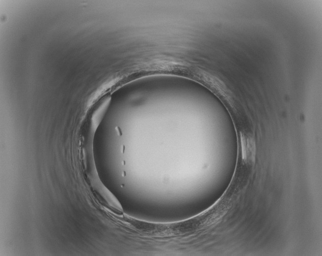 X0000080710675200612221143