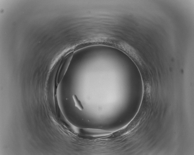 X0000080710676200612221143