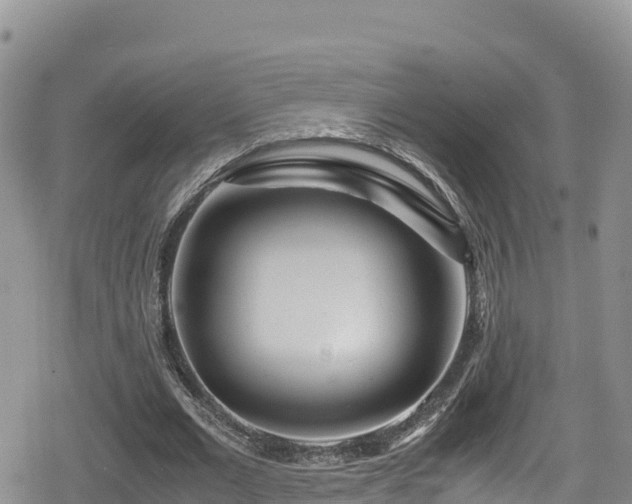 X0000080710677200612221143