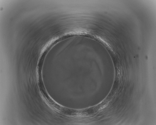 X0000080710678200612221143