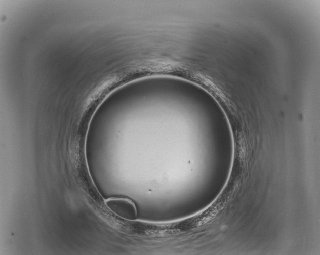 X0000080710679200612221143