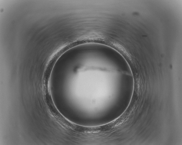 X0000080710680200612221143