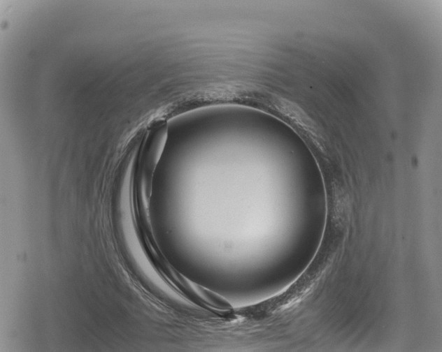 X0000080710681200612221143