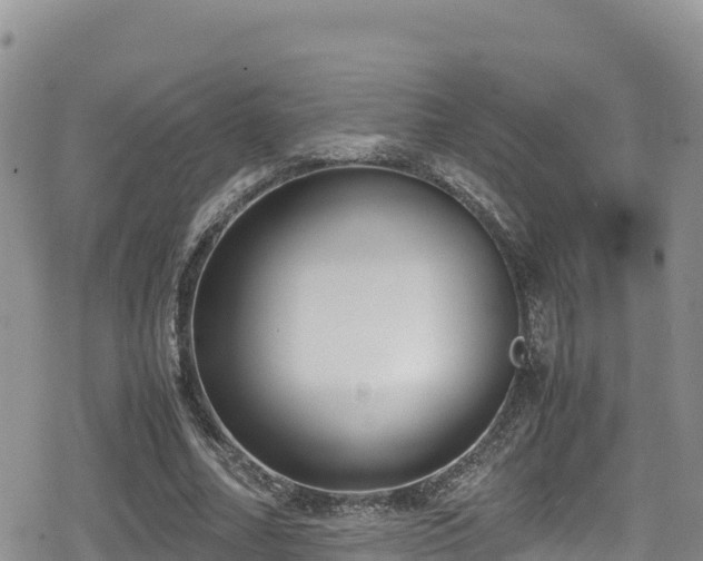 X0000080710682200612221143