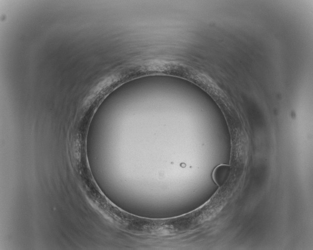 X0000080710683200612221143