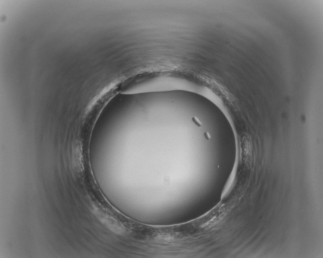 X0000080710684200612221143