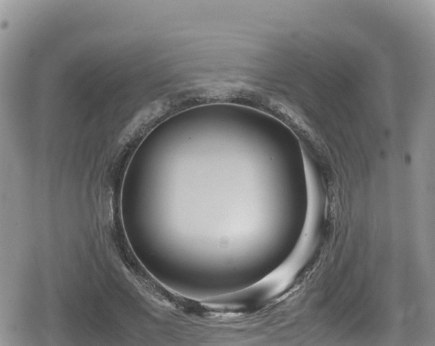 X0000080710685200612221143