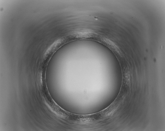 X0000080710686200612221143