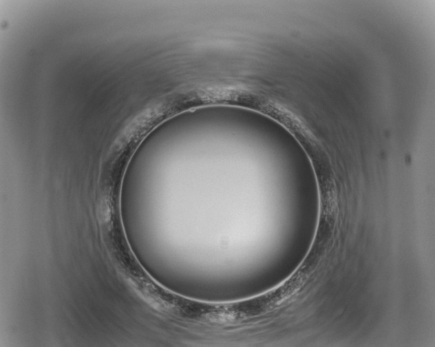 X0000080710687200612221143