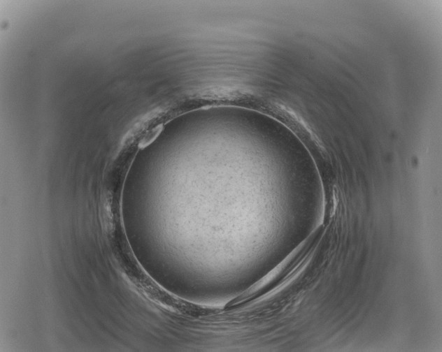 X0000080710688200612221143