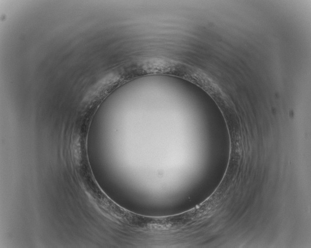 X0000080710690200612221143