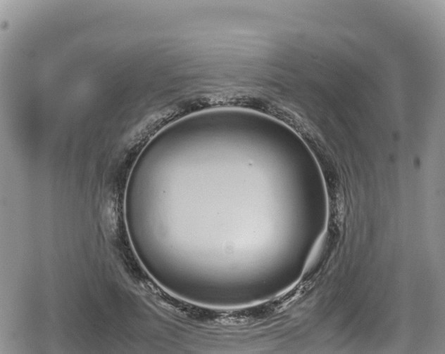 X0000080710691200612221143