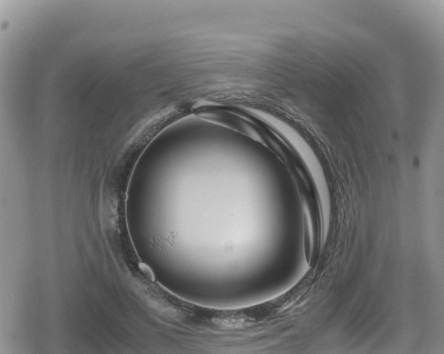 X0000080710693200612221143