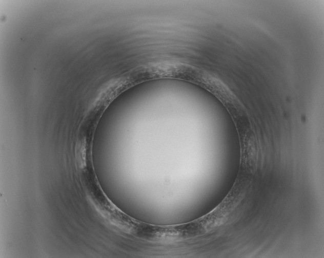 X0000080710694200612221143