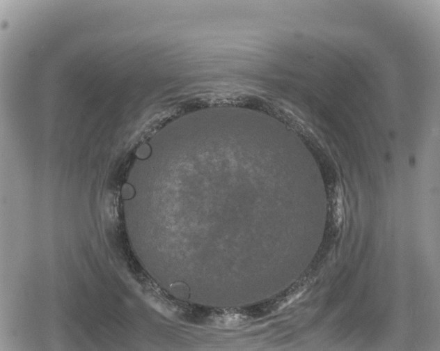 X0000080710695200612221143