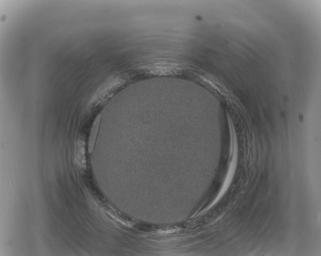 X0000080710696200612221143