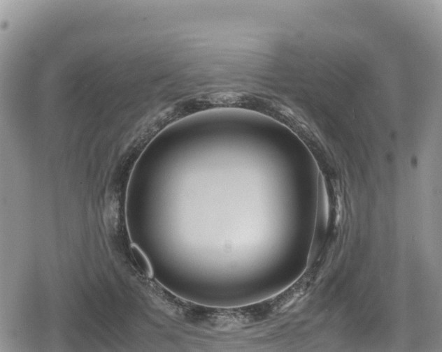 X0000080710697200612221143