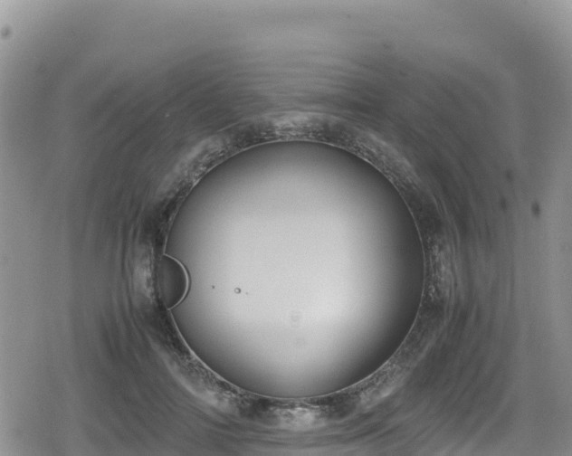 X0000080710698200612221143