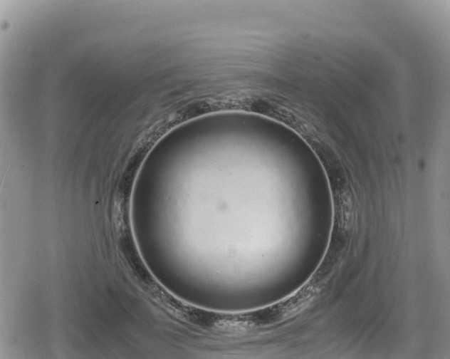 X0000080710699200612221143