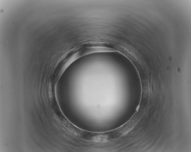 X0000080710700200612221143