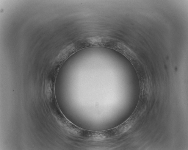 X0000080710702200612221143