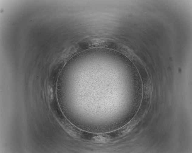 X0000080710703200612221143