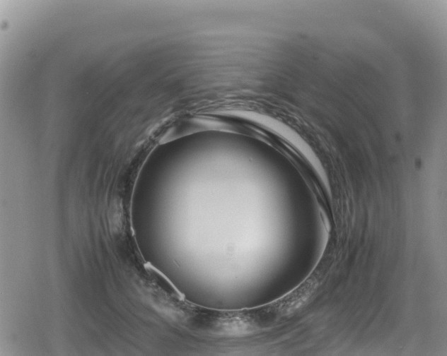 X0000080710704200612221143