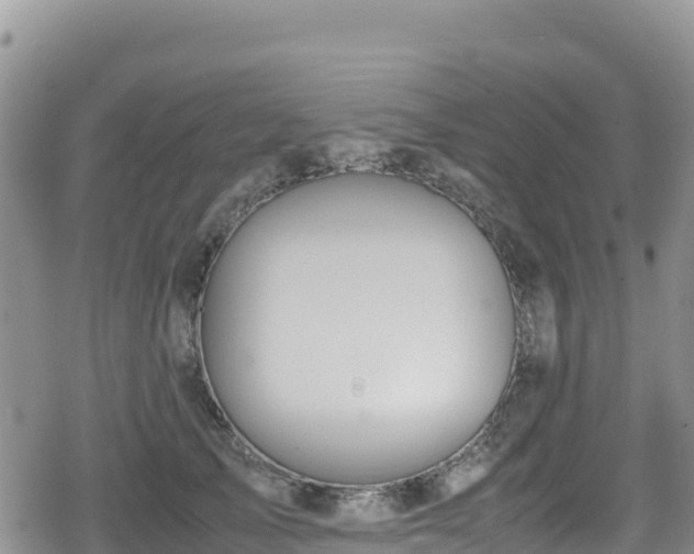 X0000080710705200612221143