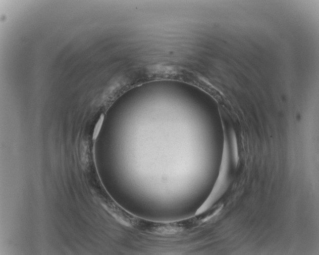 X0000080710708200612221143