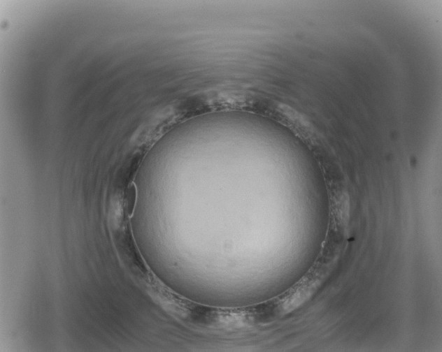 X0000080710709200612221143