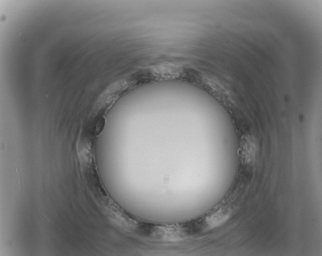 X0000080710713200612221143