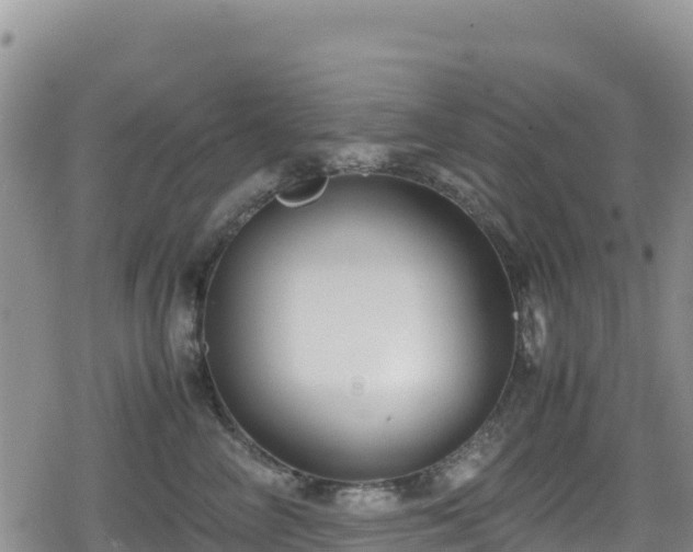 X0000080710714200612221143