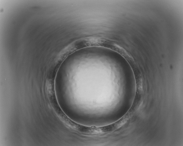 X0000080710715200612221143