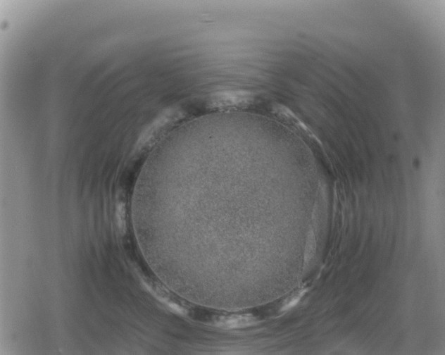 X0000080710716200612221143