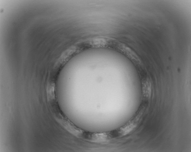 X0000080710717200612221143