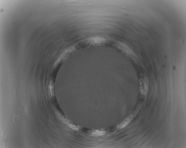 X0000080710718200612221143