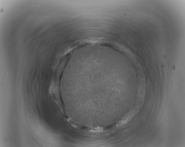 X0000080710720200612221143