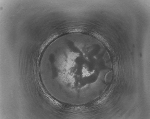 X0000080710721200612221142