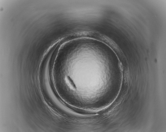 X0000080710722200612221142