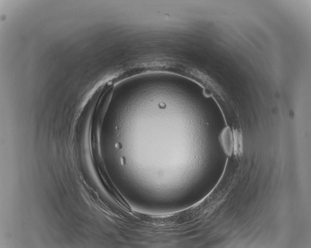 X0000080710723200612221142