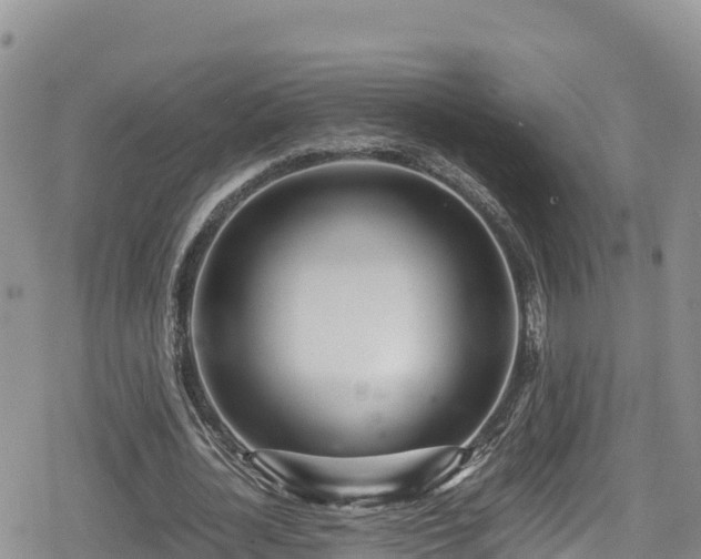 X0000080710724200612221142