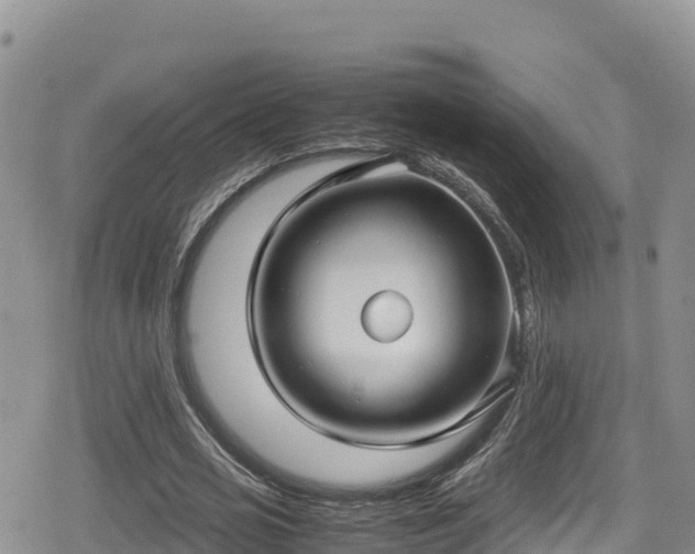 X0000080710725200612221142