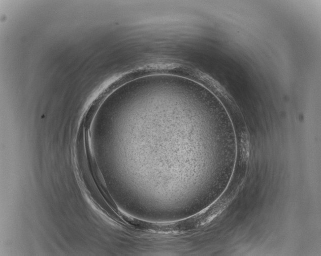 X0000080710726200612221142