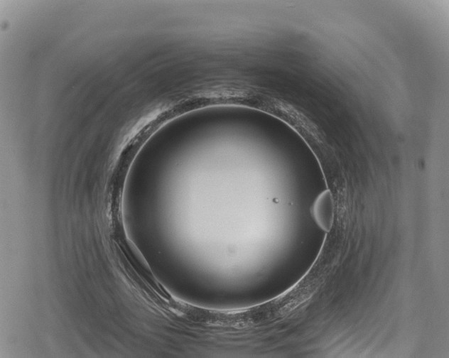 X0000080710727200612221142