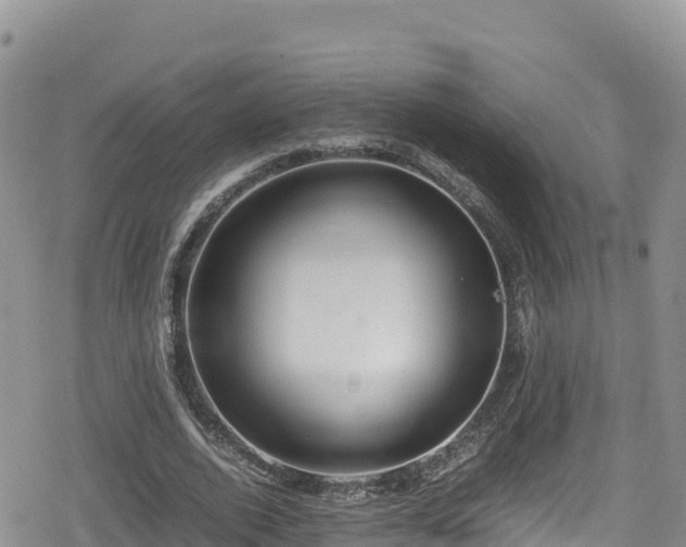 X0000080710728200612221142